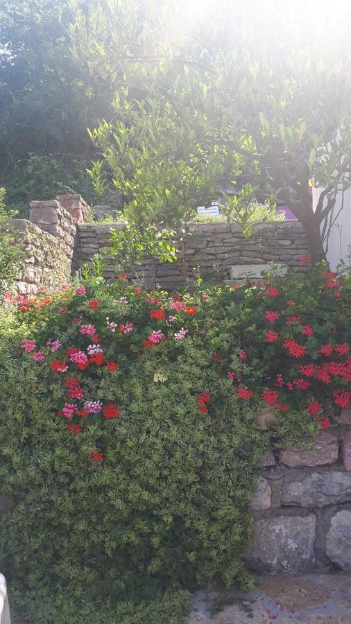 Vila Lucice Petrovac Kültér fotó
